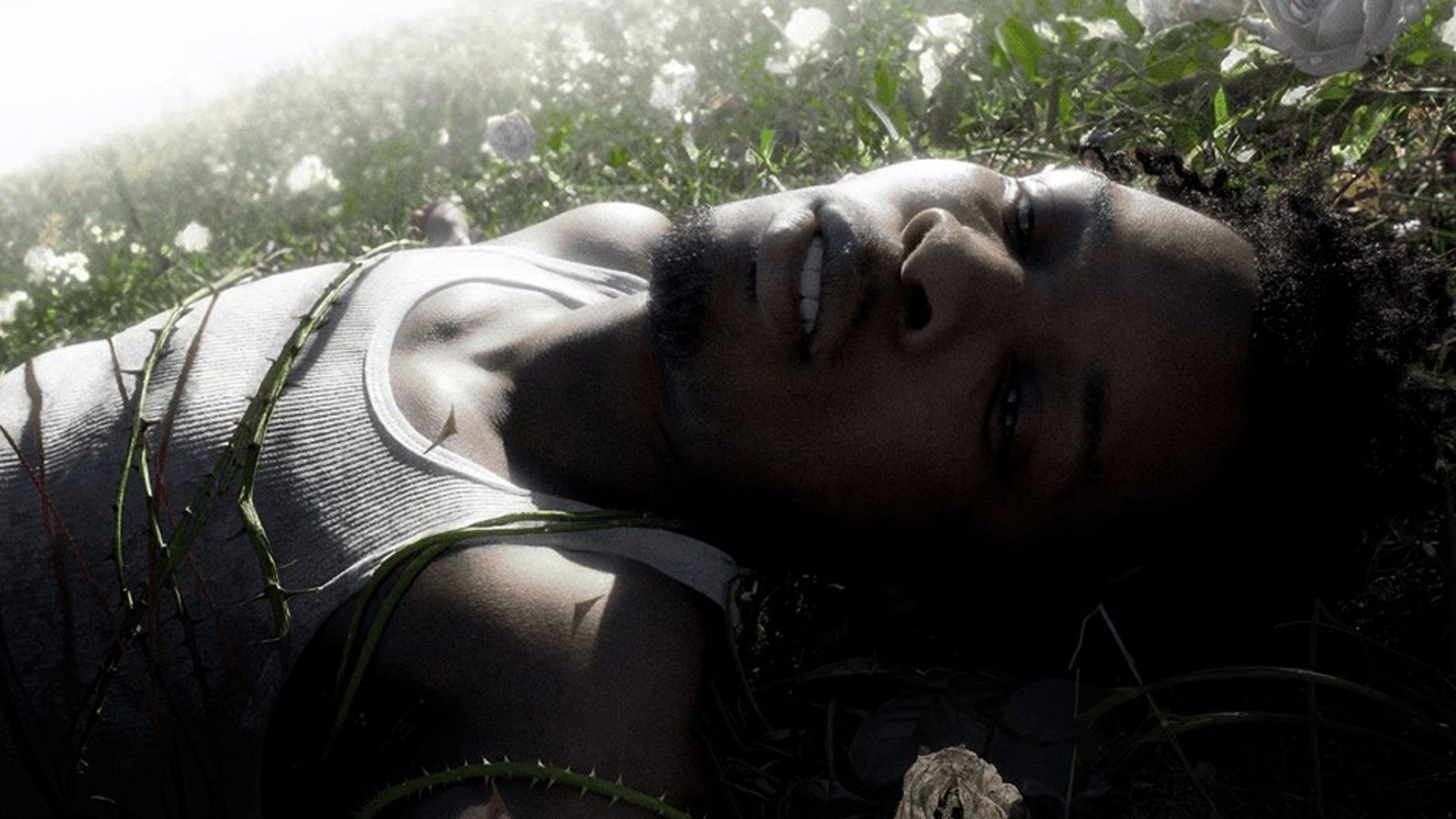d4vd ปล่อยอัลบั้มเต็มชุดแรกในชีวิต WITHERED พร้อมเอ็มวีใหม่ “Is This Really Love?”