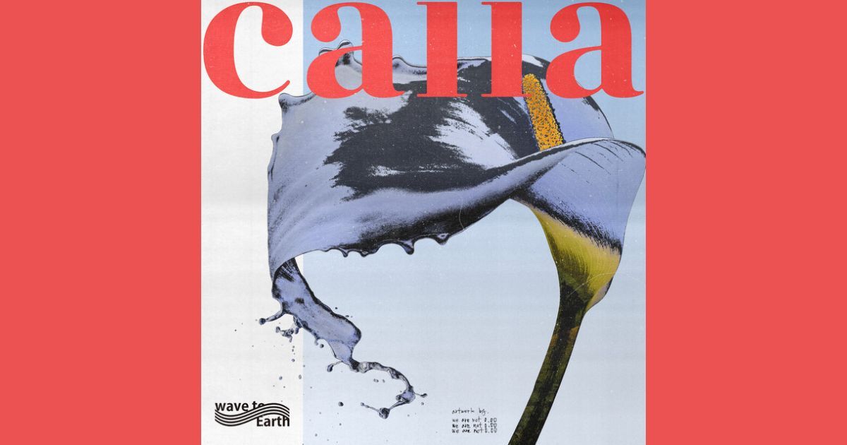 แปลเพลง : wave to earth - calla เจ้าดอกคัลลา